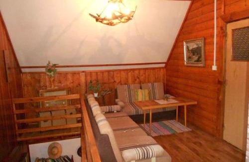 Dolni Dvur House | Holiday home in Dolni Dvur 2374