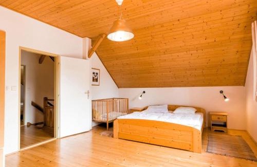 Rudnik u Vrchlabi House | Holiday Home in Javorník near Giant Mountains