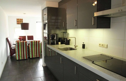 Langweer House | Holiday Home in Langweer with Infrared Sauna