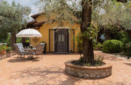 Canneto House | Holiday Home Olive Grove Sabina by Interhome