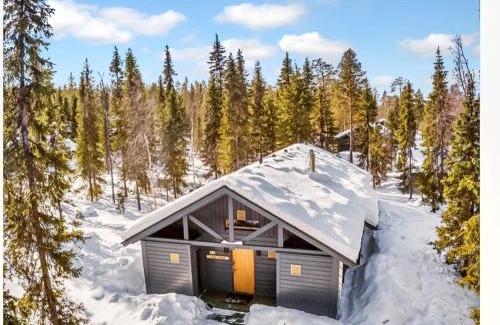 Yllasjarvi House | Holiday Home Sinikuono by Interhome