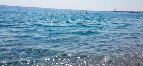 Sant'Anna Apartment | Holiday Home Tropicana
