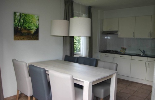 Appelscha House | Holiday Home with Fireplace near Wold