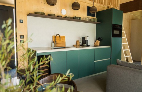 Appelscha House | Holiday Home With Sauna, in Nature Reserve