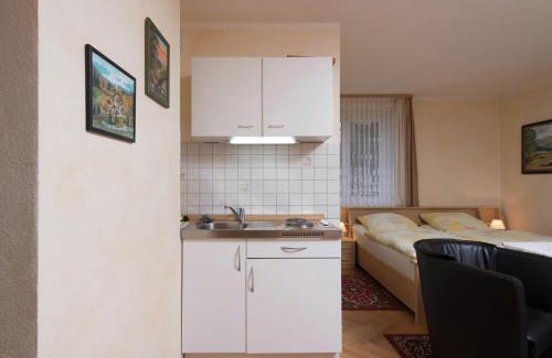 Pockau-Lengefeld Apartment | Holiday homes for two people, with a swimming pool, in the Ore Mountains