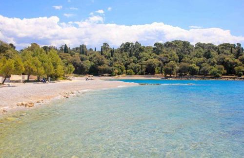 Borik House | Holiday house Hana