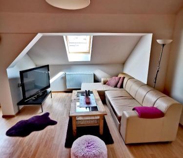 Psov Apartment | Holiday House Novosedly