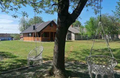 Pleternica House | Holiday house with a parking space Zarilac, Slavonija - 23028