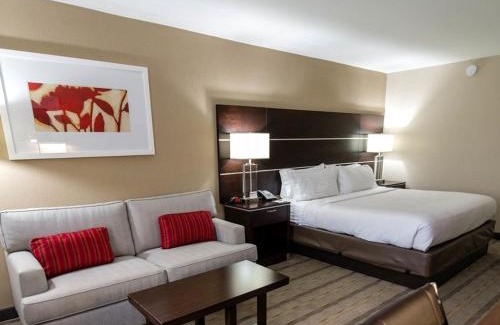 Paw Creek Hotel | Holiday Inn Charlotte Airport by IHG