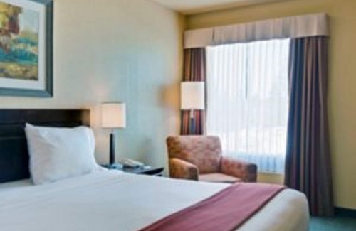Dryden Hotel | Holiday Inn Express by IHG