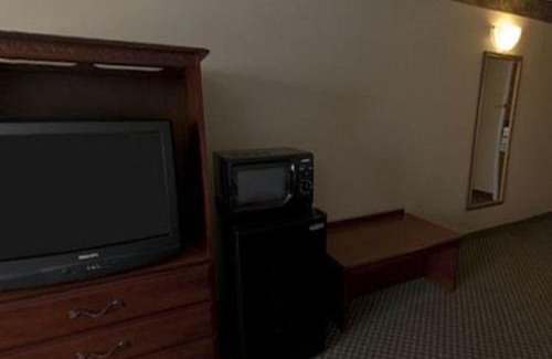Forest Hotel | Holiday Inn Express Hotel & Suites Forest by IHG