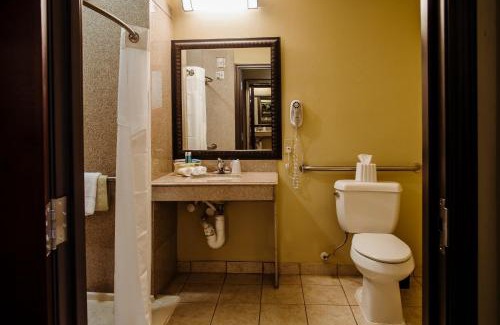 Waller Hotel | Holiday Inn Express Hotel & Suites Waller by IHG
