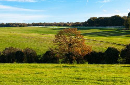 Epsom Hotel | Holiday Inn Express London - Epsom Downs by IHG