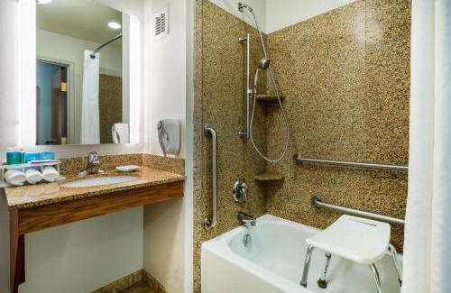 Rocky Mount Hotel | Holiday Inn Express & Suites Rocky Mount Smith Mountain Lake by IHG