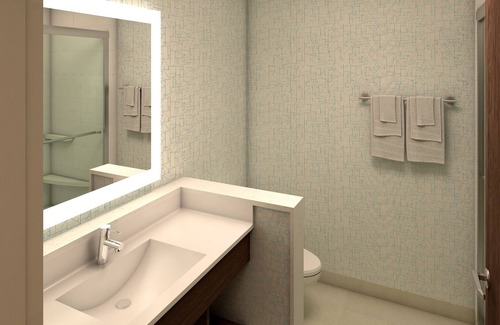 Hoschton Hotel | Holiday Inn Express & Suites Braselton West by IHG