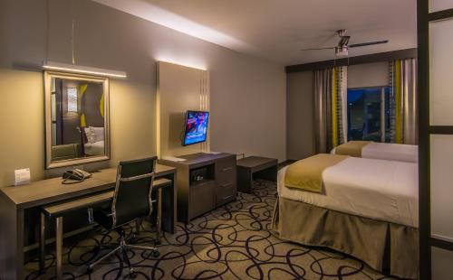 Garland Hotel | Holiday Inn Express & Suites Garland E - Lake Hubbard I30 by IHG