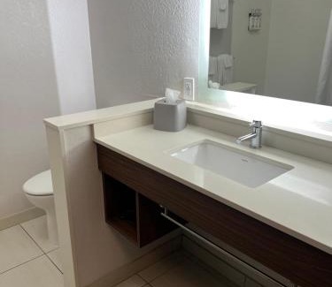 Mobile Hotel | Holiday Inn Express & Suites Mobile - University Area by IHG