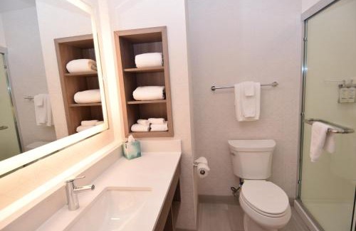 North Syracuse Hotel | Holiday Inn Express Syracuse Airport by IHG