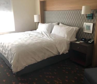 Mount Pleasant Hotel | Holiday Inn Hotel & Suites - Mount Pleasant by IHG