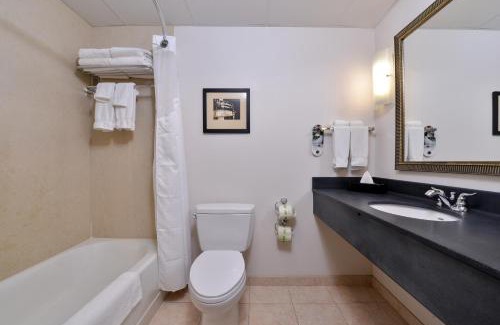 Madison Hotel | Holiday Inn Madison at The American Center by IHG