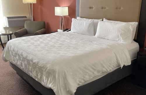 Tyler Hotel | Holiday Inn Tyler-Conference Center by IHG