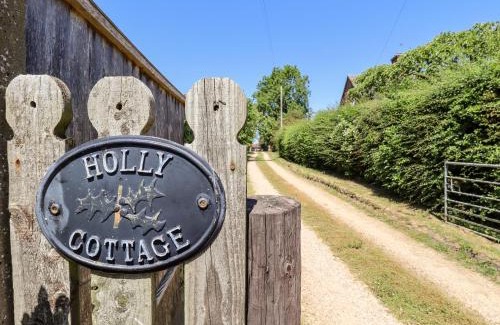 Holton Le Clay House | Holly Cottage