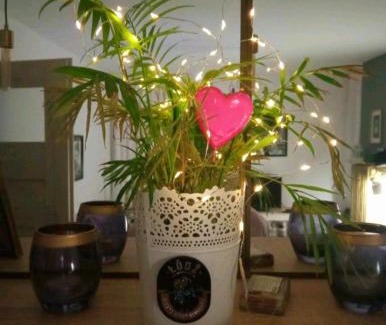 Srodmiescie Apartment | Hollywood Apartament Kosciuszki