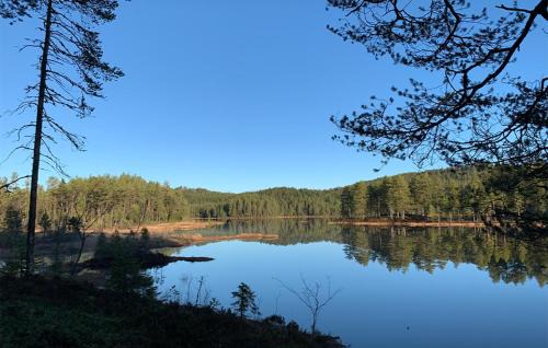 Asnes Municipality Other | Holmsjøhytta