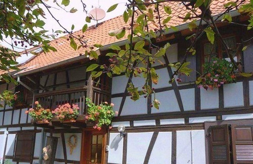 Wingersheim House | Homerez - Amazing house for 5 ppl. at Wingersheim-les-Quatre-Bans
