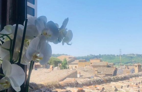 Orvieto House | Home l’archetto