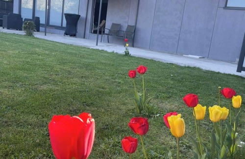 Tournai House | Homerez - Cozy House with Garden and Jacuzzi in Tournai