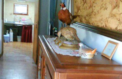 Loire - Vignobles et Nohain House | Homerez - Nice house for 2 ppl. at Saint-Père