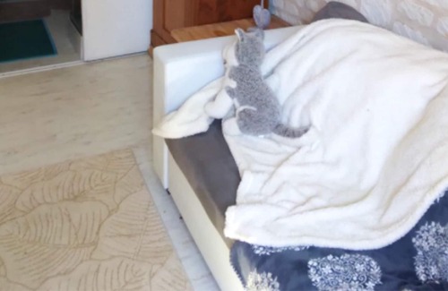 Courchamps House | Homerez - Nice property for 3 ppl. with terrace and balcony at Courchamps