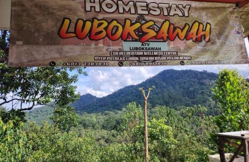 Pekan Nanas House | Homestay LubokSawah