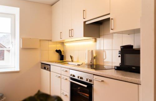 Bludenz Apartment | homy Bludenz Alpine Panorama