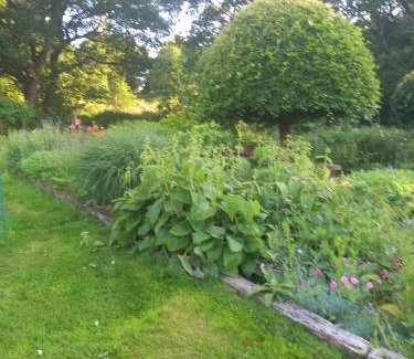 Woolbeding House | Honey House