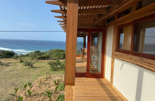 Chaimite House | Honey's House