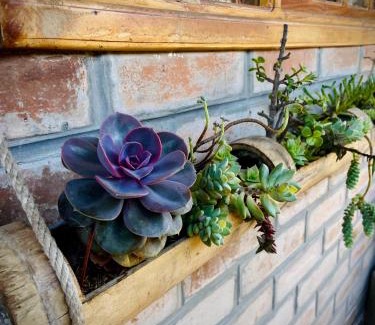 Cotacachi Hostel | Hoppy Alpaca