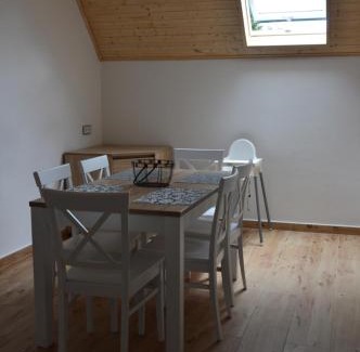 Bartosovice v Orlickych horach Apartment | Horský apartmán Pod Zelenou Střechou