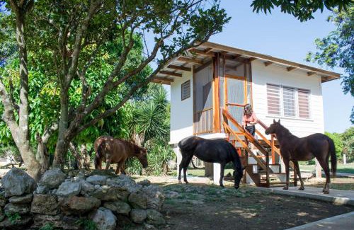 Sarteneja Hotel | Horse Cottage