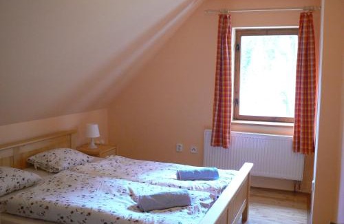 Desna Ski Chalet | Horská chalupa Bílá Desná