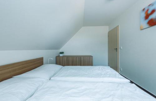 Ricky v Orlickych horach Apartment | Horský Apartmán Říčky