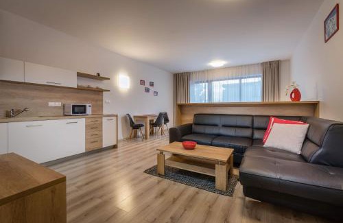 Vysoke Tatry Apartment | Horský apartmán Hrebienok A203