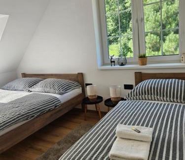 Bela pod Pradedem Apartment | Horský apartmán MIKI