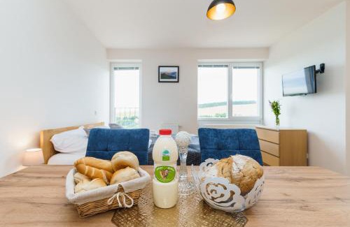 Loucna Pod Klinovcem Apartment | Horský apartmán Temari 1 Klínovec