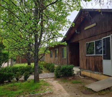 Talca Bed & Breakfast | Hospedaje Casa Betalpu