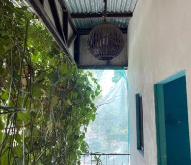 Moyogalpa Bed & Breakfast | Hostal Isla Natal
