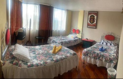 Cotacachi Hotel | Hostal Jora Continental