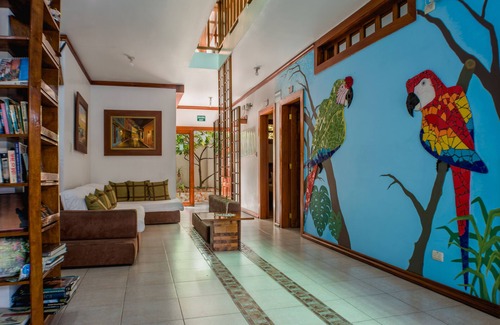 Kennedy Bed & Breakfast | Hostal Macaw
