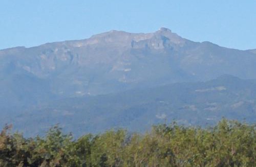 Xalapa Bed & Breakfast | Hostal Santa Anna